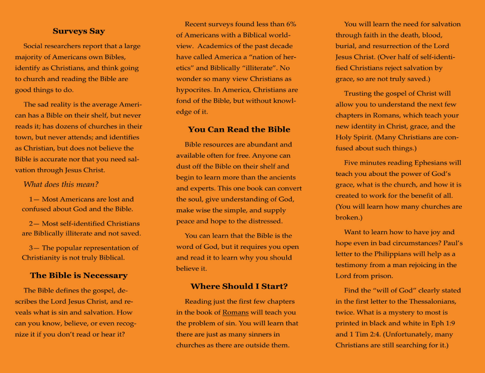 For Every 10 Americans... (25 Pack)