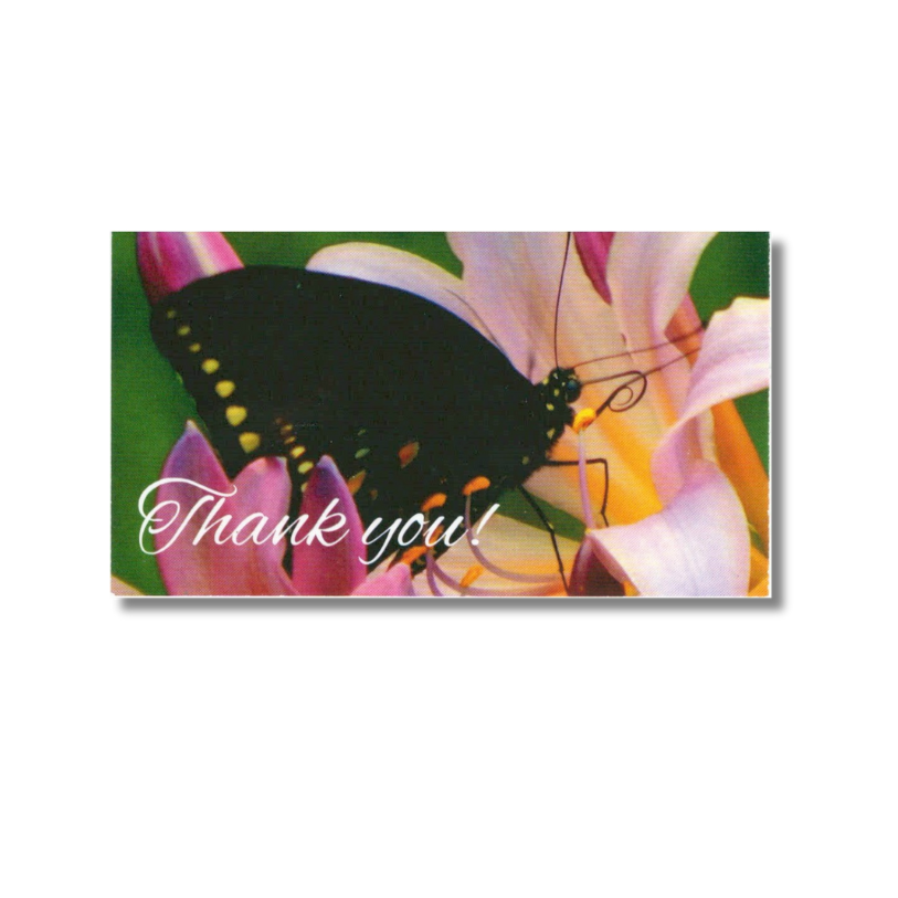 Thank You Card (100 Pack)